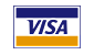 logo visa2